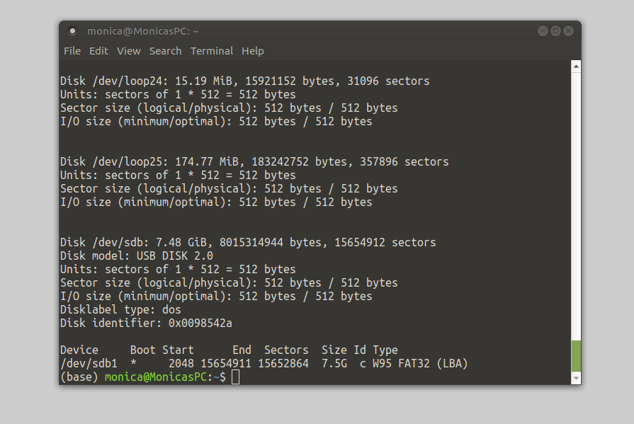 Screenshot of fdisk command in terminal